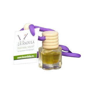 Lavandula