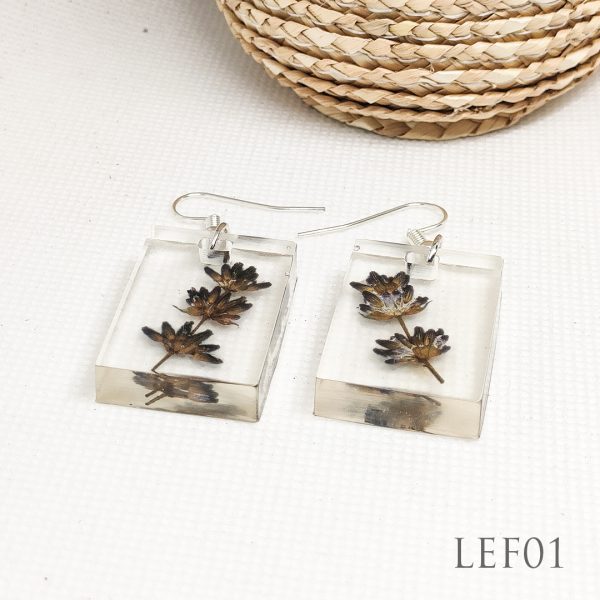 Lavandula.ro