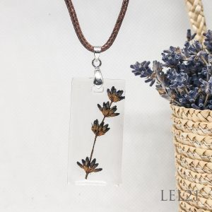Lavandula.ro